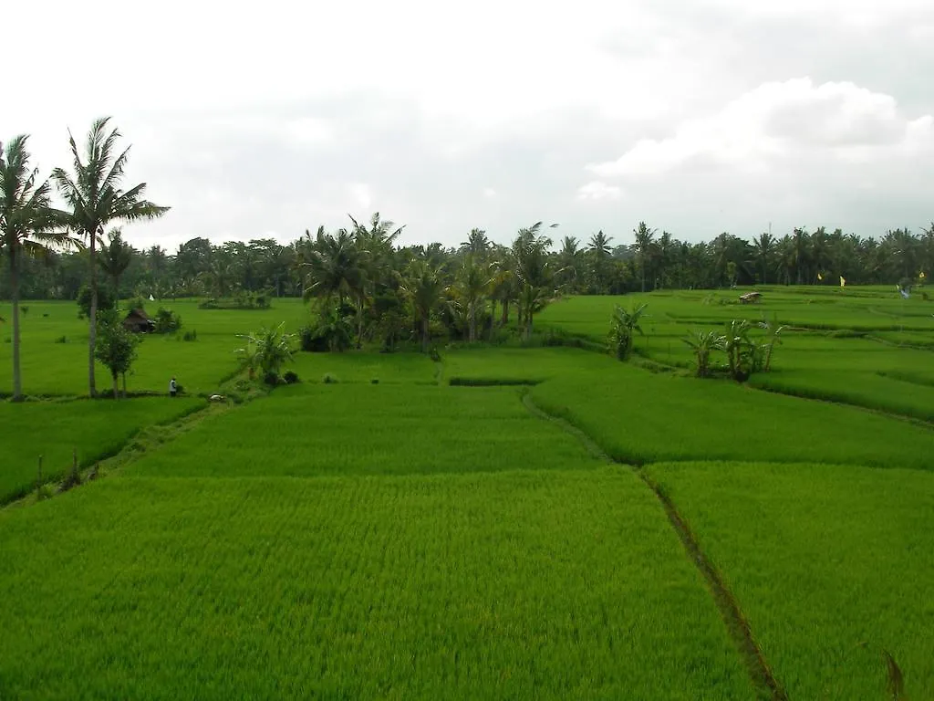 Green Field Hotel and Restaurant Ubud